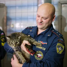 Кот по кличке Толик получил звание прапорщика. Он несколько лет «служит» в пожарной части Москвы