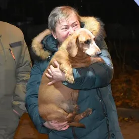 В Подмосковье спасли пухлую таксу, упавшую в канализационный люк В Подмосковье спасли пухлую таксу, упавшую в канализационный люк