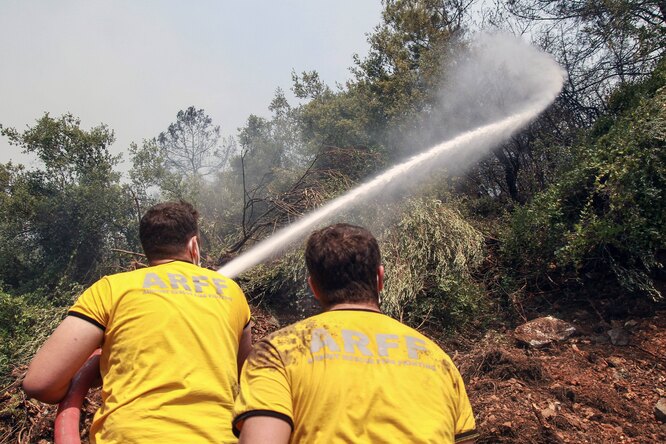 В Турции арестовали семерых россиян, подозреваемых в поджоге леса