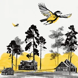 «Перо дар-птицы» — сказка резидентов Переделкино специально для «Правил жизни»