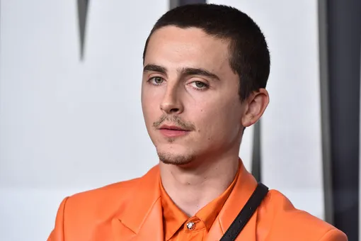 Тимоти Шаламе прокомментировал слух о том, что британский рэпер EsDeeKid — его альтер-эго Тимоти Шаламе прокомментировал слух о том, что британский рэпер EsDeeKid — его альтер-эго