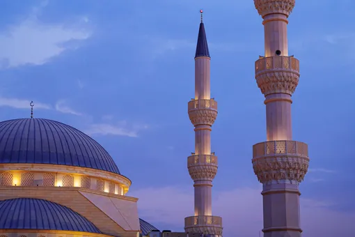 Правительство России одобрило проект безвиза с Саудовской Аравией