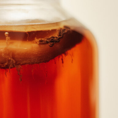 Американские астронавты на МКС объявили биологическую тревогу из-за выращенного россиянами чайного гриба