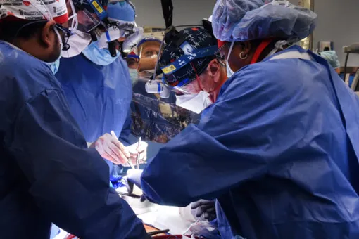 В США человеку успешно пересадили сердце свиньи — это первая подобная операция в мире