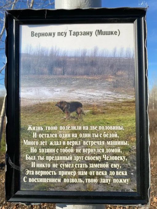 Памятник псу Памятник псу