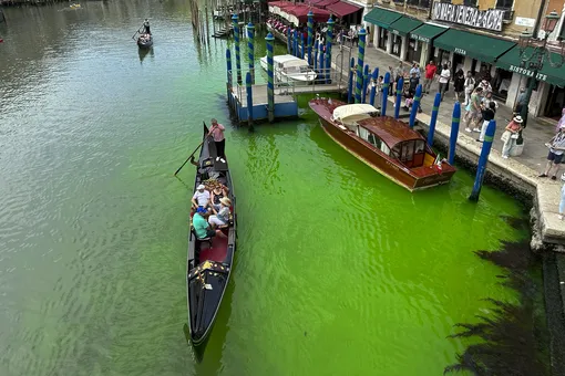 Стала известна причина, по которой вода Большого канала в Венеции окрасилась в ярко-зеленый цвет