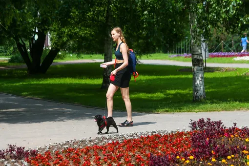 В Москве из-за жары объявили оранжевый уровень опасности. В регионах России также ожидаются «супервысокие» температуры