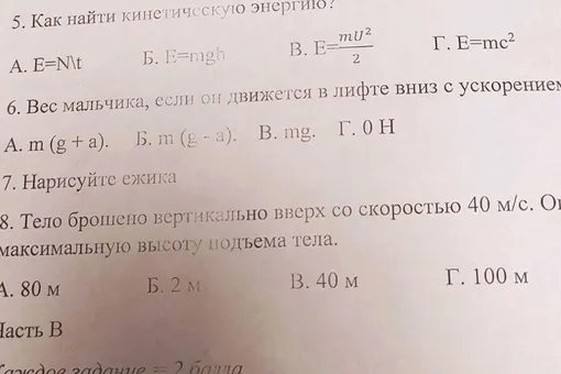 В Тюмени учительница добавила в контрольную по физике задание нарисовать котика, ежика или динозавра. Так она хотела снять стресс у студентов