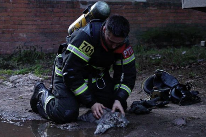 В Твери пожарный спас пострадавшего от пожара кота: он надел на него кислородную маску и поливал водой