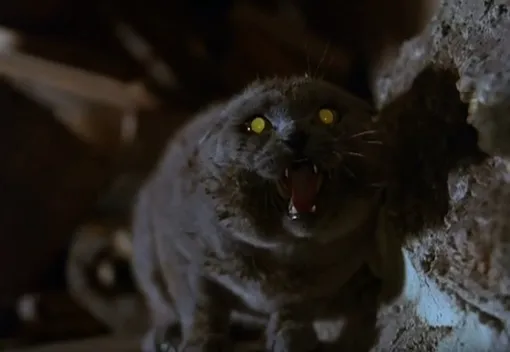 «Кладбище домашних животных» / Pet Sematary (1989)