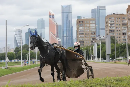 Начало скакового сезона на Центральном Московском ипподроме.