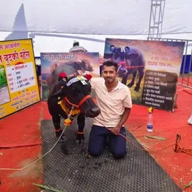 Познакомьтесь с морским буйволом из Индии по кличке Радха — его признали самым маленьким в мире