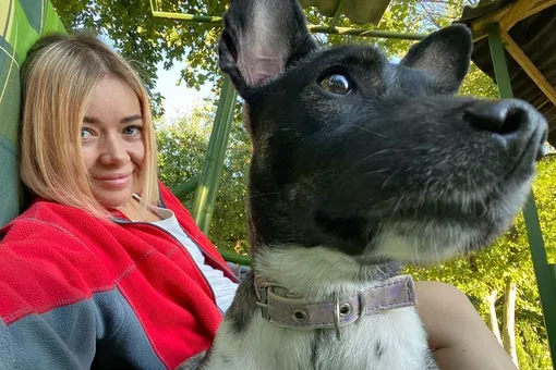 В аэропорту Домодедово нашли собаку, потерявшуюся неделю назад во время погрузки в самолет