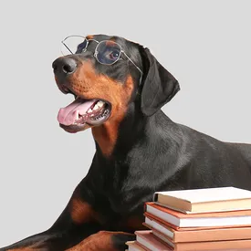 Ученые: собаки способны учить новые слова, подслушивая разговоры людей