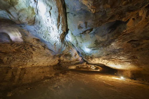 Во Франции 15 исследователей прожили в пещере 40 дней в полной изоляции. У них не было часов и никакой связи