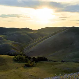 Россиянка прошла более двух тысяч километров по Большой уральской тропе за 120 дней Россиянка прошла более двух тысяч километров по Большой уральской тропе за 120 дней