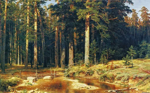 Иван Шишкин, 1898, «Корабельная роща», Русский музей, Санкт-Петербург