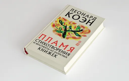Книга вышла в издательстве «Эксмо», над переводом работали Шаши Мартынова, Максим Немцов, Валерий Нугатов, Андрей Сен-Сеньков.