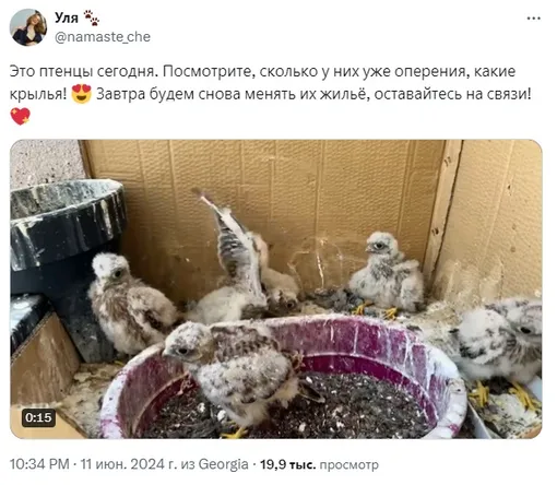 Соцсети Соцсети