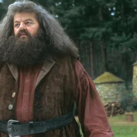 Правила жизни Рубеуса Хагрида Правила жизни Рубеуса Хагрида