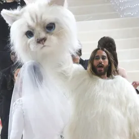 Джаред Лето планирует пропустить Met Gala 2024 из опасений, что не превзойдет свой костюм кошки Джаред Лето планирует пропустить Met Gala 2024 из опасений, что не превзойдет свой костюм кошки
