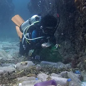 Ученые: через 30 лет пластика в океане будет больше, чем рыбы