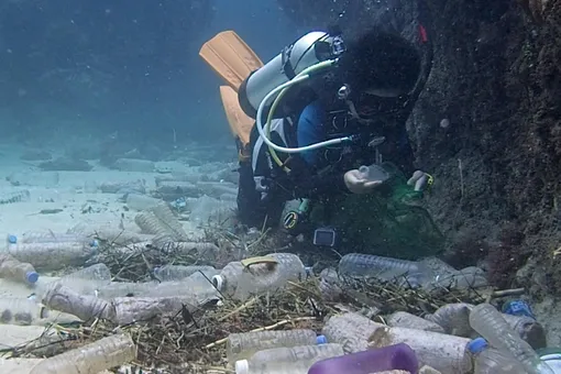 Ученые: через 30 лет пластика в океане будет больше, чем рыбы