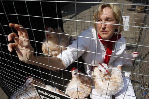 Глава зоозащитной организации PETA завещала после смерти сделать из ее кожи сумку Hermès