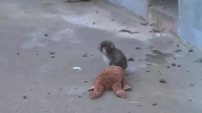 Смотреть Смотреть