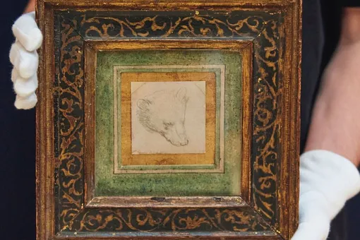 Рисунок головы медведя, сделанный Леонардо да Винчи, продали за рекордные 8,9 миллиона фунтов