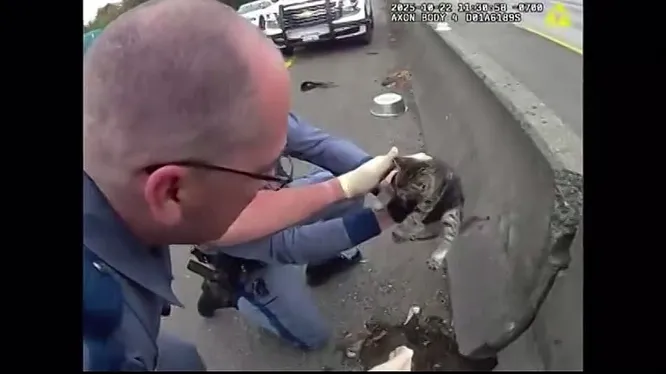 Смотреть Смотреть