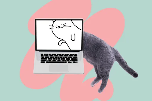 Что такое ChatGPT, что он умеет и как им пользоваться в России? Что такое ChatGPT, что он умеет и как им пользоваться в России?