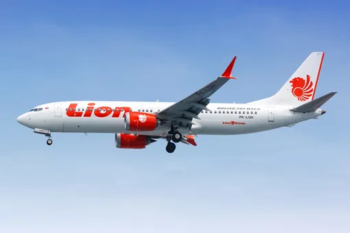 Boeing 737 MAX за день до катастрофы в Индонезии спас пилот, который случайно оказался на рейсе