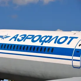 «Аэрофлот» объявил об ужесточении правил перевозки животных после нескольких скандалов