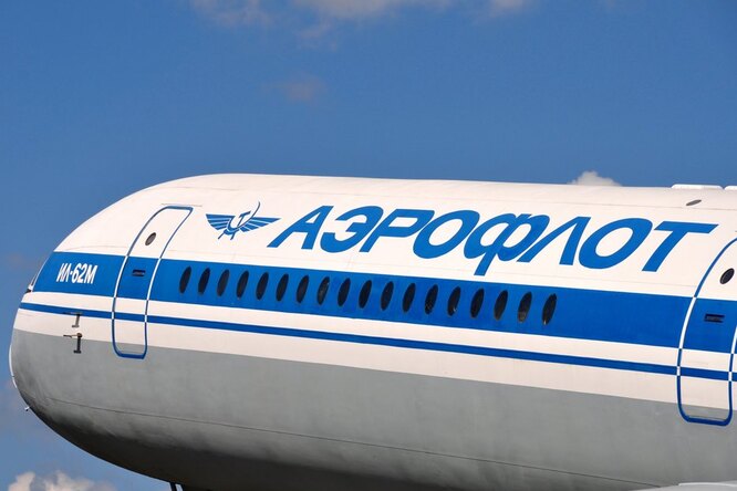 «Аэрофлот» объявил об ужесточении правил перевозки животных после нескольких скандалов