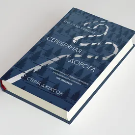 «Серебряная дорога» Стины Джексон — нетипичный скандинавский нуар об отце, который ищет пропавшую три года назад дочь