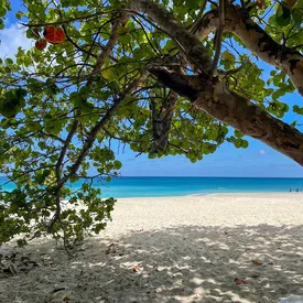 Россиянин оставил наследство женщине, с которой у него был курортный роман в 1975 году Россиянин оставил наследство женщине, с которой у него был курортный роман в 1975 году