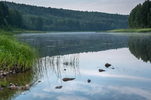 Генпрокуратура провела проверку водоемов Урала. В регионе не нашлось ни одного чистого водного объекта
