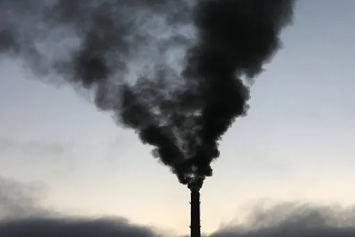 Минэкономразвития отказалось вводить предложенный Чубайсом углеродный налог