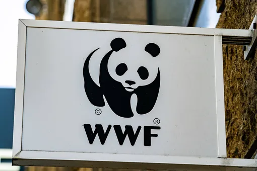 Всемирный фонд дикой природы обвинили в пытках и убийствах браконьеров