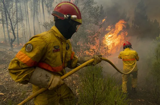 Власти Португалии обратились за помощью в тушении пожара к соседней Испании