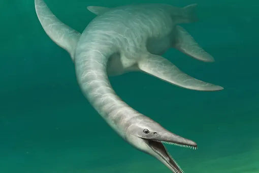 Палеонтологи открыли новый вид морского динозавра со змеиной шеей и головой крокодила