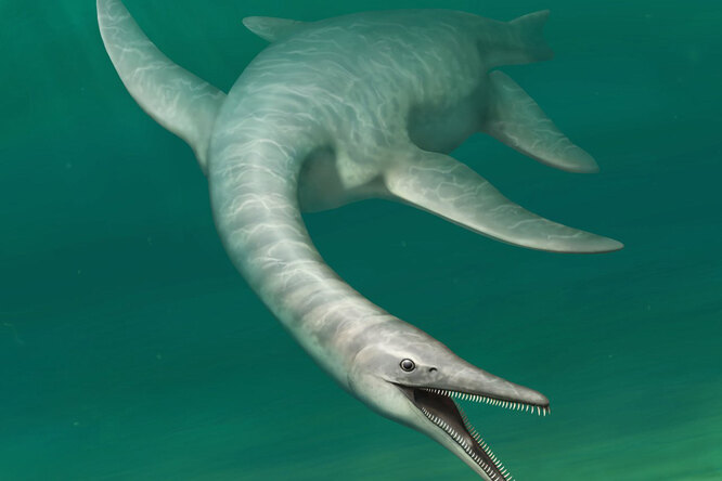 Палеонтологи открыли новый вид морского динозавра со змеиной шеей и головой крокодила