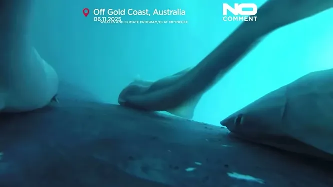 Смотреть Смотреть