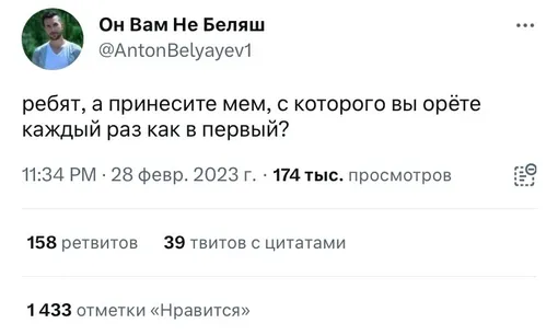 твит твит