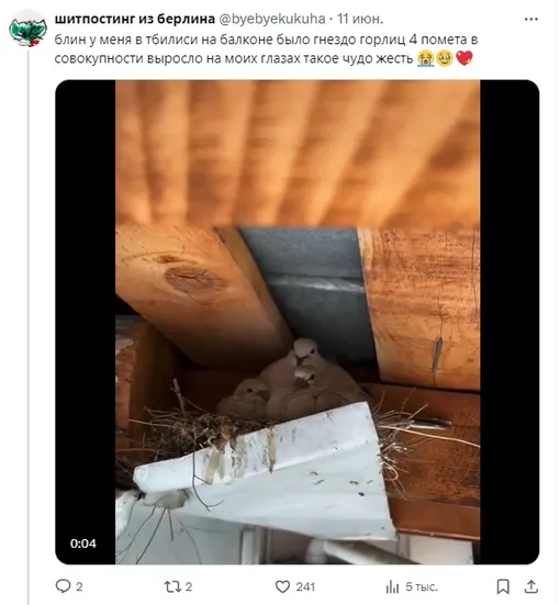 Соцсети Соцсети
