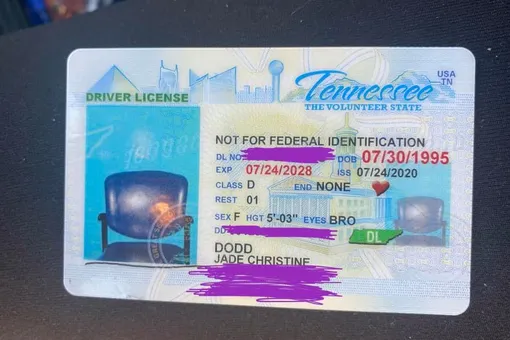 Американка получила водительское удостоверение с фотографией стула вместо своего портрета