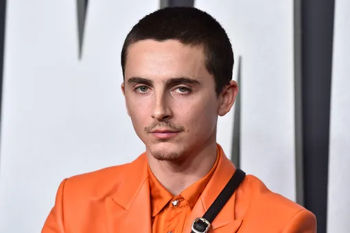 Тимоти Шаламе рассказал, почему у него короткая стрижка Тимоти Шаламе рассказал, почему у него короткая стрижка