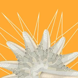 Странный тест для сникерхедов: какие вы кроссовки? Странный тест для сникерхедов: какие вы кроссовки?