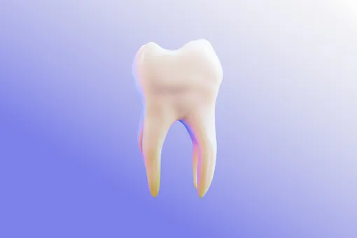 Стесняюсь спросить: как баланс бактерий влияет на здоровье всего организма Стесняюсь спросить: как баланс бактерий влияет на здоровье всего организма